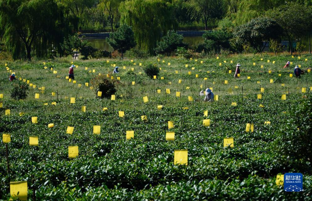 大圣游戏厅下载